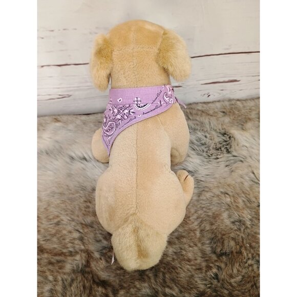 American Girl Kailey's 2003 Poseable 10" Sandy Golden Retriever Blonde Plush Dog - Picture 5 of 9